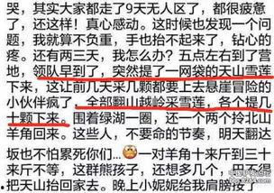 爆料雪莲的视频,视频爆料背后的惊人真相  第1张