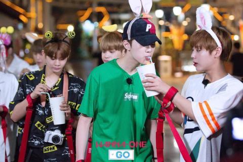 wannaone go在线观看,独家在线观看，揭秘偶像成长之路  第1张