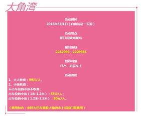 阳江闸坡新闻爆料,揭秘当地最新动态与热点事件